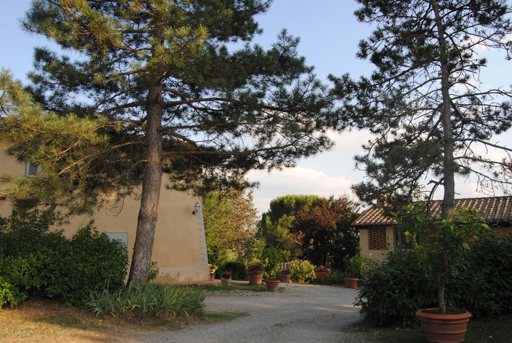 Il Colombaio, Siena -Appartamenti E Camere- Isola d'Arbia Exterior foto