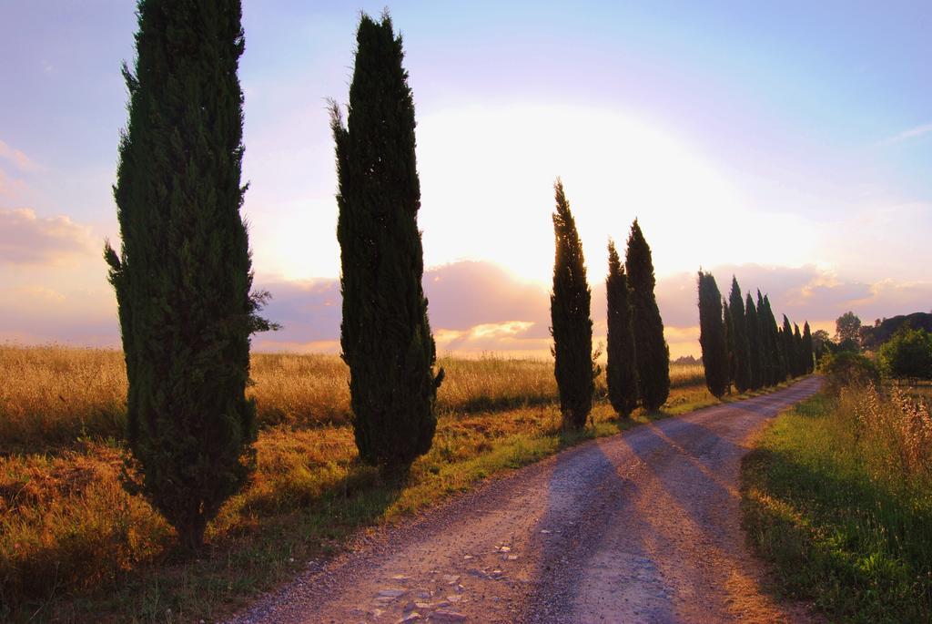 Il Colombaio, Siena -Appartamenti E Camere- Isola d'Arbia Exterior foto